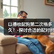 以德牧配狗第二次格多久?-探讨合适的配对时间(探索以德牧配狗的理想交配间隔及其对繁殖结果的影响)(图3) 以德牧配狗第二次格多久?-探讨合适的配对时间(探索以德牧配狗的理想交配间隔及其对繁殖结果的影响)(图3)
