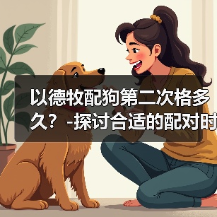 以德牧配狗第二次格多久?-探讨合适的配对时间(探索以德牧配狗的理想交配间隔及其对繁殖结果的影响)(图4) 以德牧配狗第二次格多久?-探讨合适的配对时间(探索以德牧配狗的理想交配间隔及其对繁殖结果的影响)(图4)
