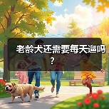 老龄犬还需要每天遛吗?(图4) 老龄犬还需要每天遛吗?(图4)