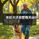 老龄犬还需要每天遛吗？ - 新生家伴