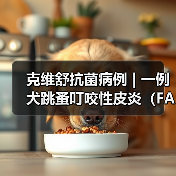 克维舒抗菌病例 | 一例犬跳蚤叮咬性皮炎（FAD）的病例分析 - 新生家伴