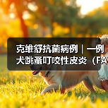 克维舒抗菌病例 | 一例犬跳蚤叮咬性皮炎(FAD)的病例分析(图3) 克维舒抗菌病例 | 一例犬跳蚤叮咬性皮炎(FAD)的病例分析(图3)