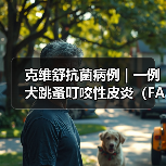 克维舒抗菌病例 | 一例犬跳蚤叮咬性皮炎(FAD)的病例分析(图4) 克维舒抗菌病例 | 一例犬跳蚤叮咬性皮炎(FAD)的病例分析(图4)