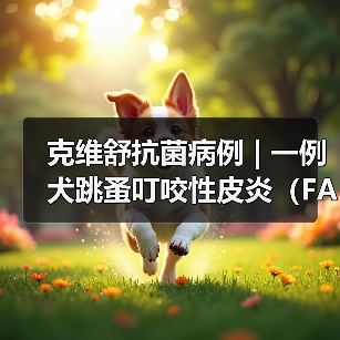 克维舒抗菌病例 | 一例犬跳蚤叮咬性皮炎(FAD)的病例分析(图2) 克维舒抗菌病例 | 一例犬跳蚤叮咬性皮炎(FAD)的病例分析(图2)