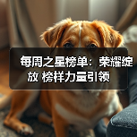 每周之星榜单:荣耀绽放 榜样力量引领(图4) 每周之星榜单:荣耀绽放 榜样力量引领(图4)