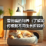雪纳瑞的饲养(了解如何根据不同生长阶段的需求,科学喂养你的雪纳瑞)(图4) 雪纳瑞的饲养(了解如何根据不同生长阶段的需求,科学喂养你的雪纳瑞)(图4)