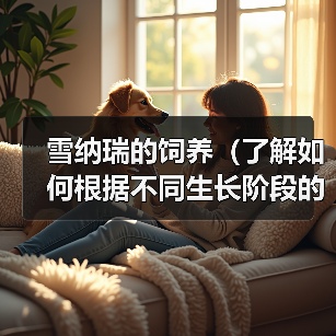 雪纳瑞的饲养（了解如何根据不同生长阶段的