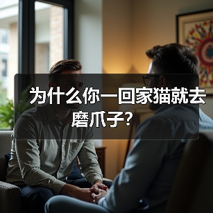 为什么你一回家猫就去磨爪子?(图3) 为什么你一回家猫就去磨爪子?(图3)