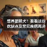 想养腊肠犬？看看这些优缺点及常见疾病再决定！(图3)