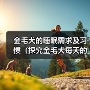 金毛犬的睡眠需求及习惯（探究金毛犬每天的睡眠时间和相关行为）(图4)