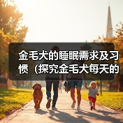 金毛犬的睡眠需求及习惯（探究金毛犬每天的