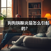狗狗胰腺炎是怎么引起的?(图3) 狗狗胰腺炎是怎么引起的?(图3)