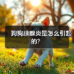 狗狗胰腺炎是怎么引起的?(图4) 狗狗胰腺炎是怎么引起的?(图4)