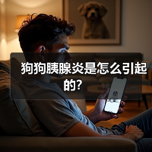 狗狗胰腺炎是怎么引起的?(图2) 狗狗胰腺炎是怎么引起的?(图2)