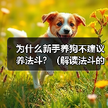 为什么新手养狗不建议养法斗?(解读法斗的性格特点和对新手养狗的挑战)(图4) 为什么新手养狗不建议养法斗?(解读法斗的性格特点和对新手养狗的挑战)(图4)