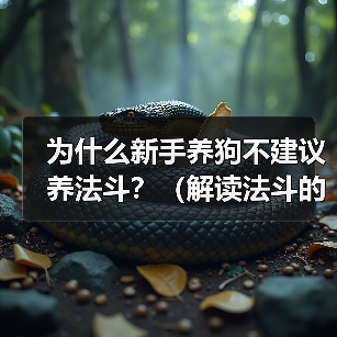 为什么新手养狗不建议养法斗?(解读法斗的性格特点和对新手养狗的挑战)(图2) 为什么新手养狗不建议养法斗?(解读法斗的性格特点和对新手养狗的挑战)(图2)