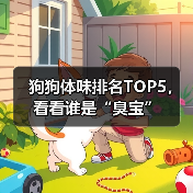 狗狗体味排名TOP5，看看谁是“臭宝”
