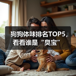 狗狗体味排名TOP5,看看谁是“臭宝”(图3) 狗狗体味排名TOP5,看看谁是“臭宝”(图3)