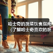 哈士奇的蔬菜饮食指南（了解哈士奇喜欢的蔬