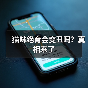 猫咪绝育会变丑吗？真相来了