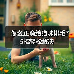 怎么正确给猫咪排毛?5招轻松解决(图3) 怎么正确给猫咪排毛?5招轻松解决(图3)