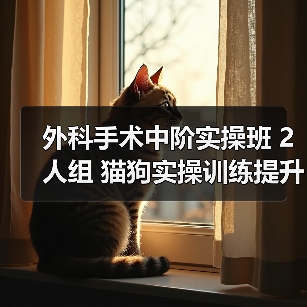 外科手术中阶实操班 2人组 猫狗实操训练提升技术(图4)