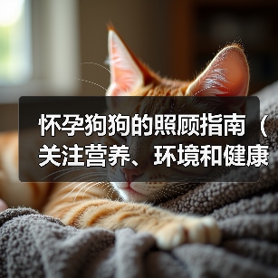 怀孕狗狗的照顾指南（关注营养、环境和健康）(图4)