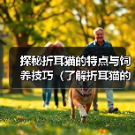 探秘折耳猫的特点与饲养技巧（了解折耳猫的起源及特色，打造幸福宠物生活）(图4)