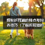 探秘折耳猫的特点与饲养技巧（了解折耳猫的起源及特色，打造幸福宠物生活）(图2)