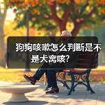 狗狗咳嗽怎么判断是不是犬窝咳？(图2)