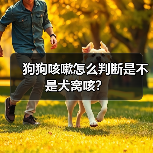 狗狗咳嗽怎么判断是不是犬窝咳？(图3)