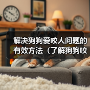解决狗狗爱咬人问题的有效方法（了解狗狗咬人的原因及相应解决方 - 新生家伴