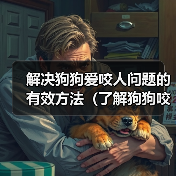 解决狗狗爱咬人问题的有效方法(了解狗狗咬人的原因及相应解决方案)(图2) 解决狗狗爱咬人问题的有效方法(了解狗狗咬人的原因及相应解决方案)(图2)