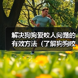 解决狗狗爱咬人问题的有效方法(了解狗狗咬人的原因及相应解决方案)(图4) 解决狗狗爱咬人问题的有效方法(了解狗狗咬人的原因及相应解决方案)(图4)