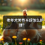 老年犬关节不好怎么护理?(图2) 老年犬关节不好怎么护理?(图2)