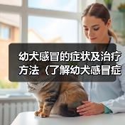 幼犬感冒的症状及治疗方法（了解幼犬感冒症状，及时保护宝贝健康）(图3)