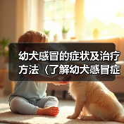 幼犬感冒的症状及治疗方法（了解幼犬感冒症状，及时保护宝贝健康 - 新生家伴