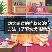 幼犬感冒的症状及治疗方法（了解幼犬感冒症状，及时保护宝贝健康）(图4)
