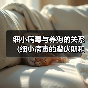 细小病毒与养狗的关系（细小病毒的潜伏期和狗的养殖时间）(图4)