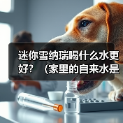 迷你雪纳瑞喝什么水更好?(家里的自来水是否适合迷你雪纳瑞喝?)(图2) 迷你雪纳瑞喝什么水更好?(家里的自来水是否适合迷你雪纳瑞喝?)(图2)