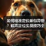 如何精准定位脓包异物？超声定位实战技巧全解析(图4)