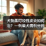 犬跳蚤叮咬性皮炎如何治？一例柴犬病例分析(图4)