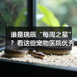 谁是瑞辰“每周之星”？看这些宠物医院优秀员工如何用专业与爱心守护毛孩子！(图4)