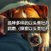 品味多样的以头类牡丹鹦鹉（探索以头类牡丹鹦鹉的多样品种及特点 - 辰飞雨新生家伴