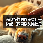 品味多样的以头类牡丹鹦鹉（探索以头类牡丹鹦鹉的多样品种及特点）(图2)