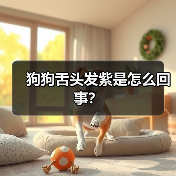 狗狗舌头发紫是怎么回事？ - 辰飞雨新生家伴