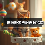 猫咪搬家应激自救指南 - 辰飞雨新生家伴