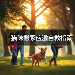 猫咪搬家应激自救指南(图2)
