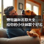 宠物猫咪名称大全——给你的小伙伴取个好名字（宠物猫咪名字大全 - 辰飞雨新生家伴