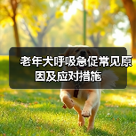 老年犬呼吸急促常见原因及应对措施(图2)